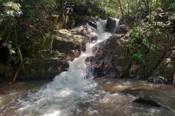 Foto - TRILHA DA PEDRA GRANDE