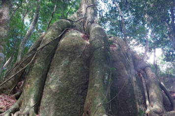 Foto - TRILHA DAS PEDRAS ABRAÇADAS