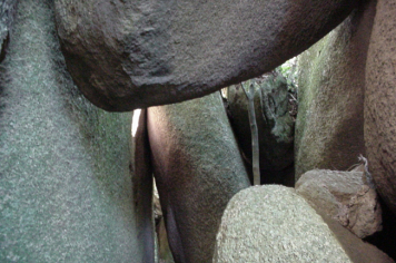 Foto - TRILHA DO LABIRINTO