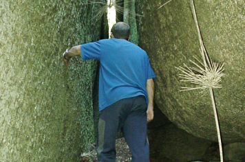 Foto - TRILHA DO LABIRINTO