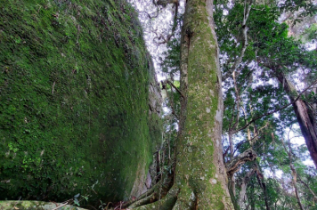Foto - TRILHA DAS PEDRAS ABRAÇADAS