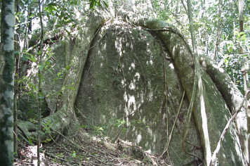 Foto - TRILHA DAS PEDRAS ABRAÇADAS