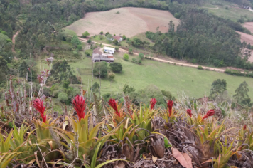 Foto - TRILHA DA PEDRA GRANDE